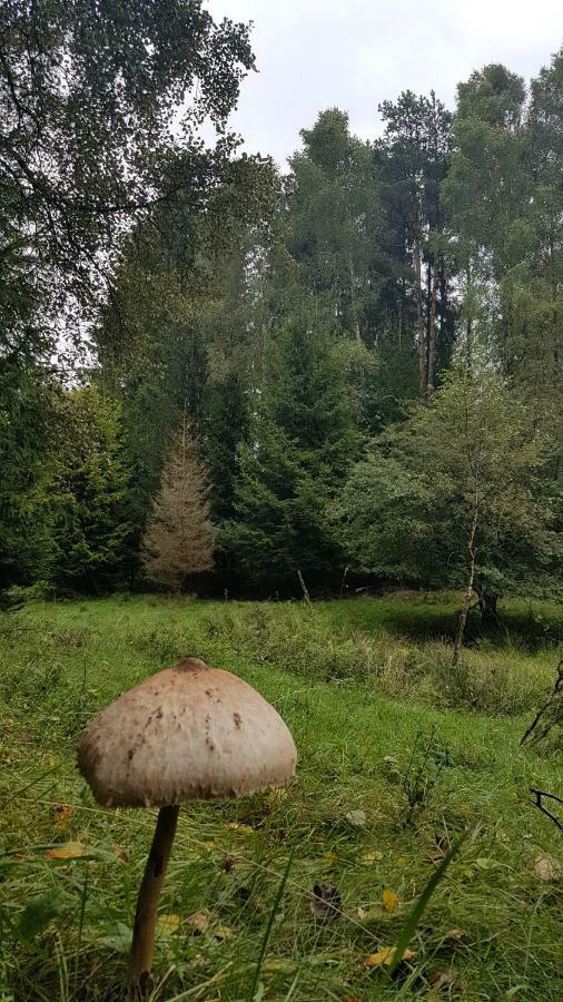 Apartament Przystań Kapitanat Szczecinek Zewnętrze zdjęcie